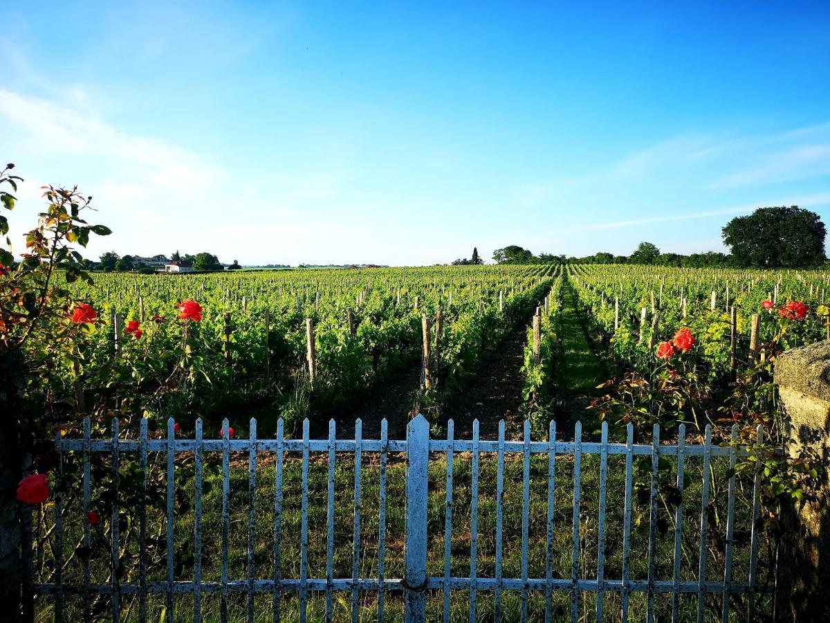 La Maison Des Vignes Saint Emilion Exterior photo